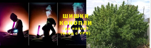 не бодяженный Арсеньев