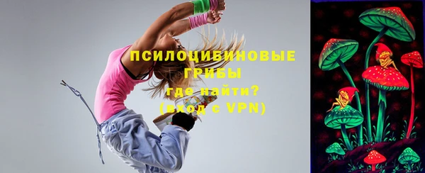 сатива Армянск