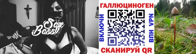 дарк нет клад  цена наркотик  Спас-Деменск  Псилоцибиновые грибы GOLDEN TEACHER 